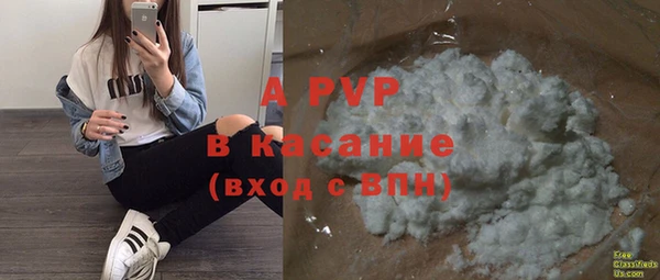 PSILOCYBIN Семёнов