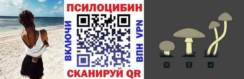 сколько стоит  Малмыж  Псилоцибиновые грибы мицелий 